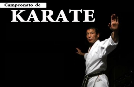 Torneo provincial de Karate