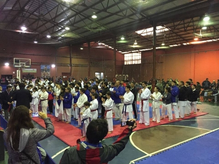 Torneo provincial de Karate