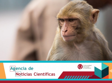 Agencia de noticias cientiacuteficas